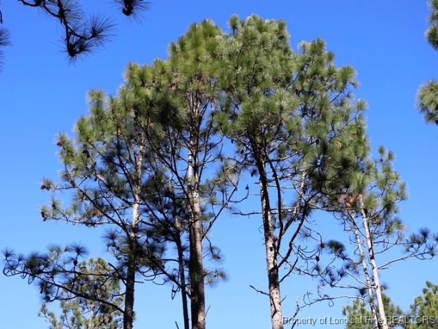 Land for sale in Fairmont, North Carolina