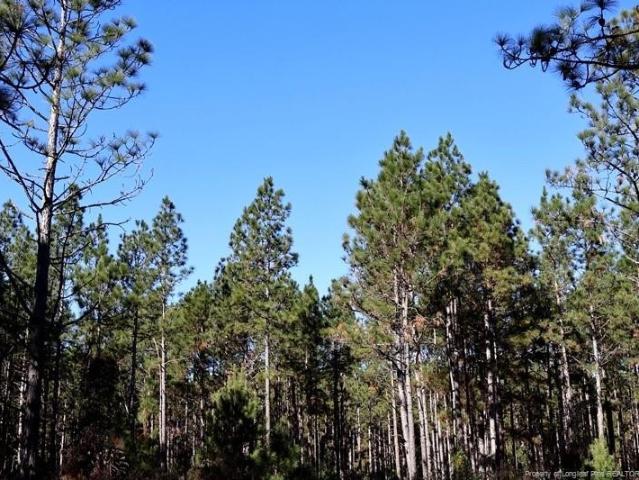 Land for sale in Fairmont, North Carolina