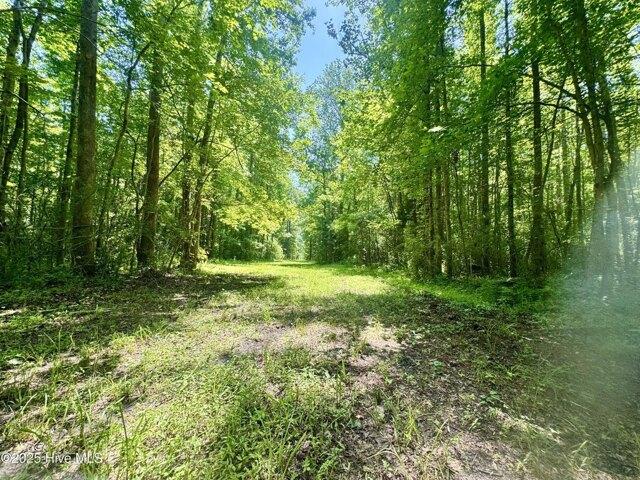 Land for sale in Bayboro