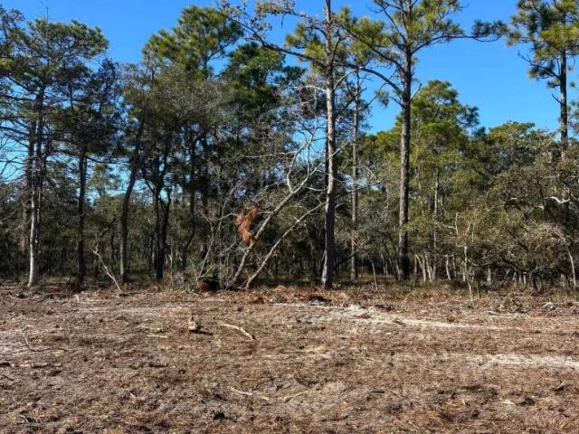 Land for sale in Southport, North Carolina