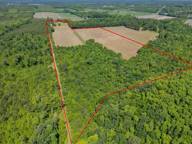 Land for sale in North Carolina