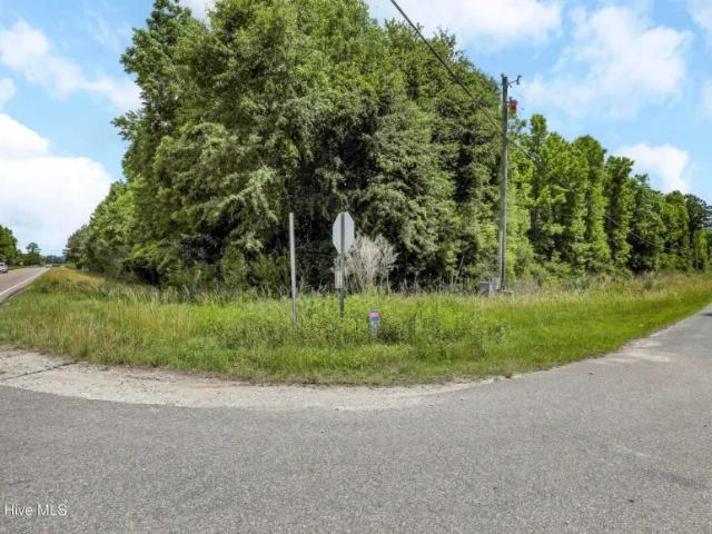 Land for sale in Burgaw, North Carolina