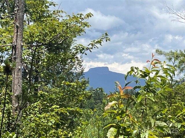 Land for sale in Morganton