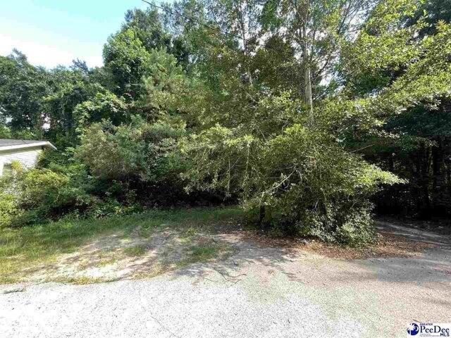 Land for sale in Bennettsville Land for sale in Bennettsville