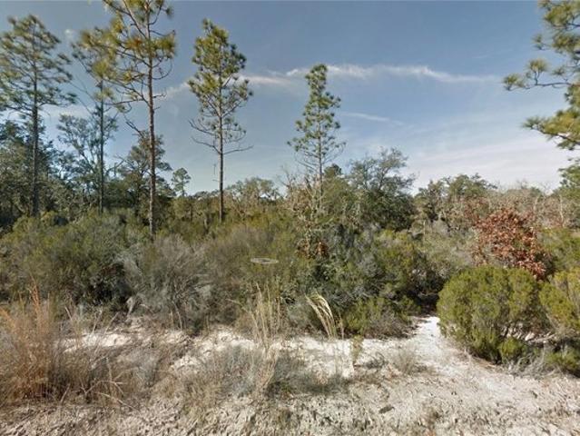 Land for sale in Bronson, Florida