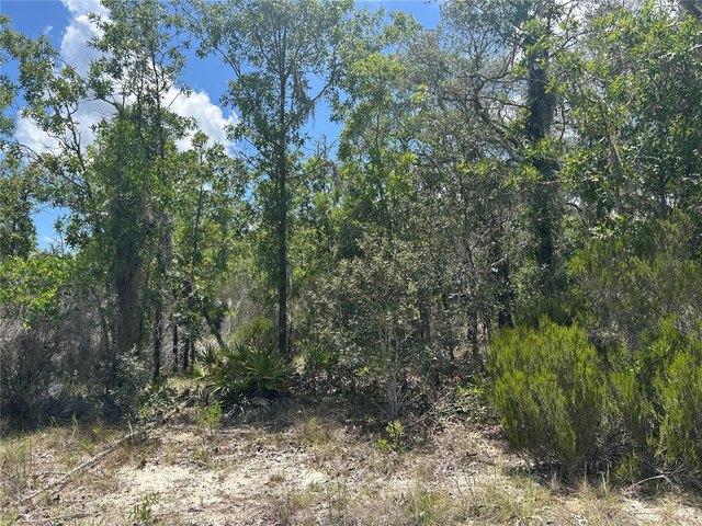 Land for sale in Archer, Florida