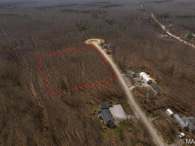 Land for sale in Lowry City, St. Clair County