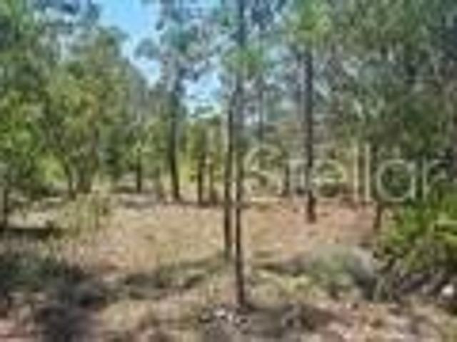 Land for sale in Bronson, Florida