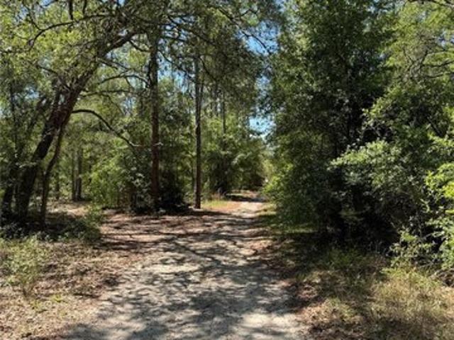Land for sale in Bronson, Florida