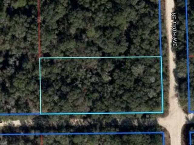 Land for sale in Bronson, Florida