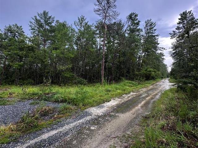 Land for sale in Florida