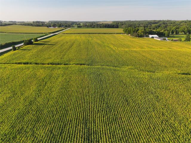 Land for sale in Mitchellville, Polk County