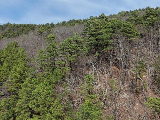 Land for sale in Wilburton, Oklahoma