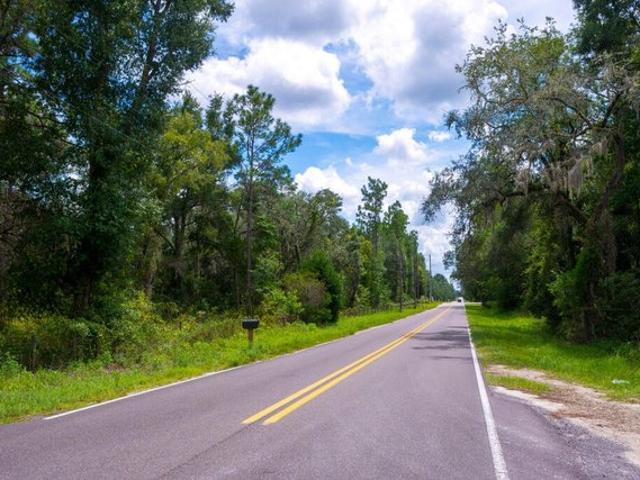 Land for sale in Bronson, Florida