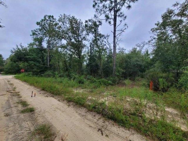 Land for sale in Bronson, Florida