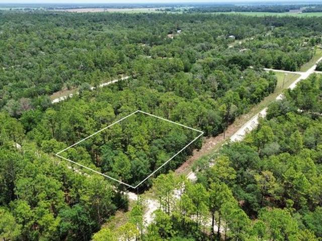 Land for sale in Morriston, Florida