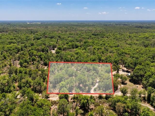 Land for sale in Bronson, Florida