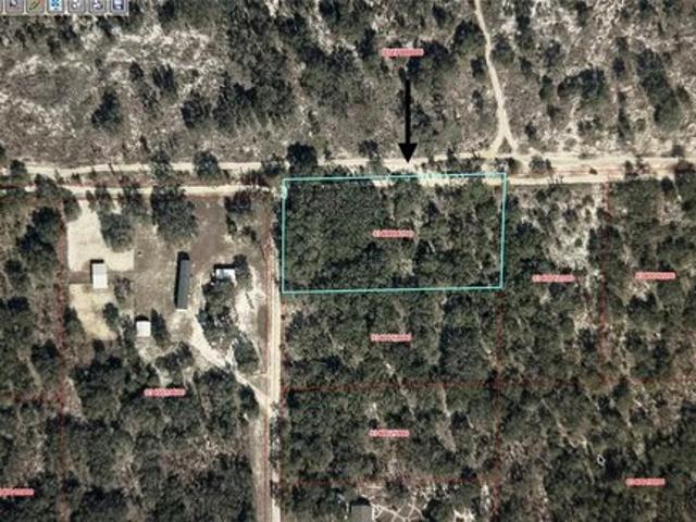 Land for sale in Bronson, Florida