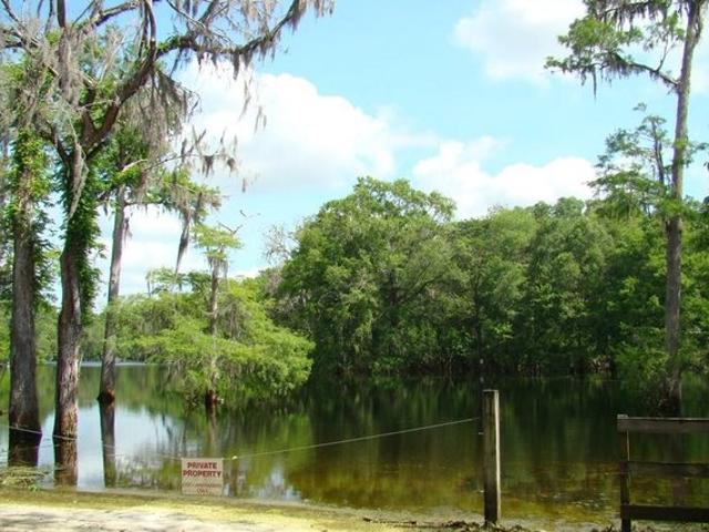 Land for sale in Suwannee, Florida