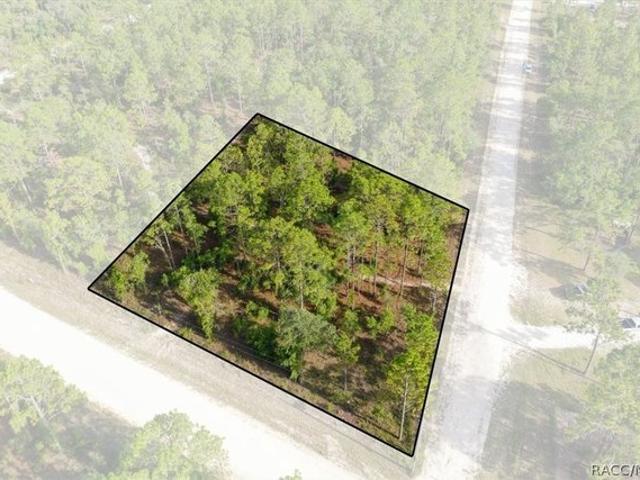 Land for sale in Morriston, Florida