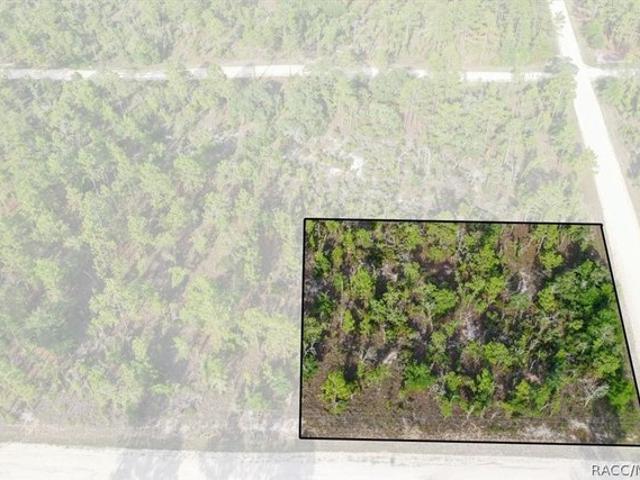 Land for sale in Morriston, Florida