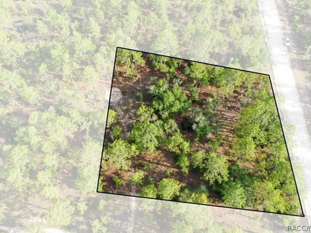 Land for sale in Morriston, Florida
