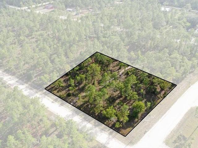 Land for sale in Morriston, Florida