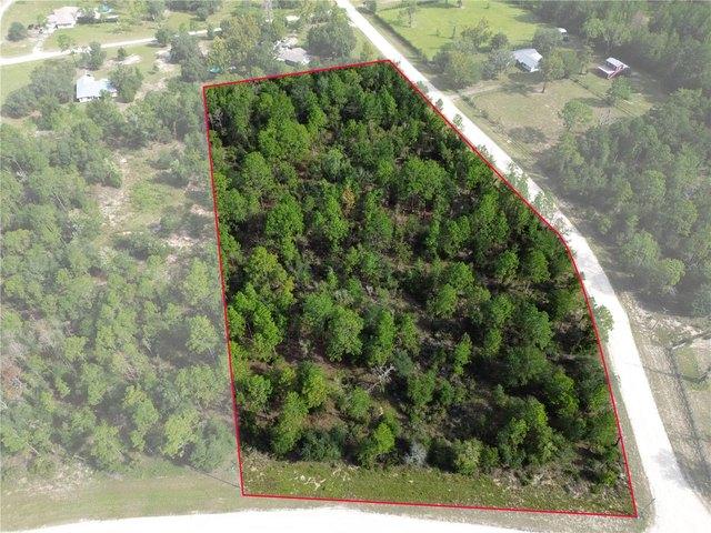 Land for sale in Morriston, Florida