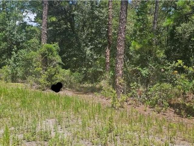 Land for sale in Anthony, Florida