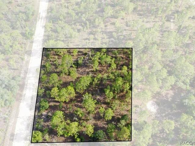 Land for sale in Morriston, Florida