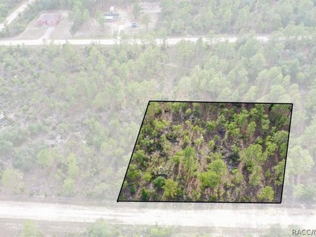 Land for sale in Morriston, Florida