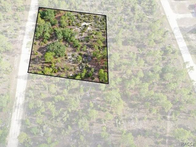 Land for sale in Morriston, Florida