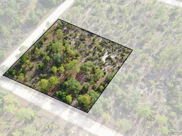 Land for sale in Morriston, Florida