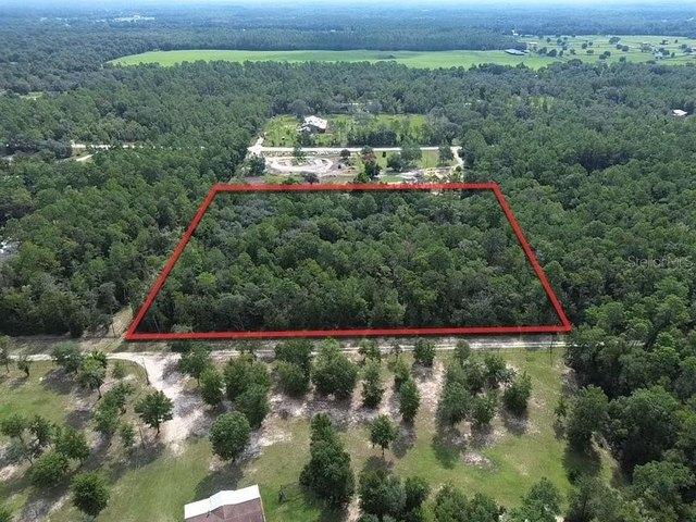 Land for sale in Williston, Levy County