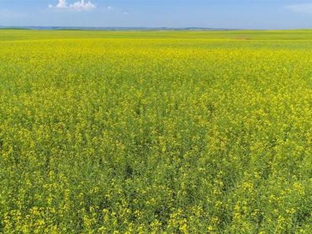 Farm for sale in Saskatchewan
