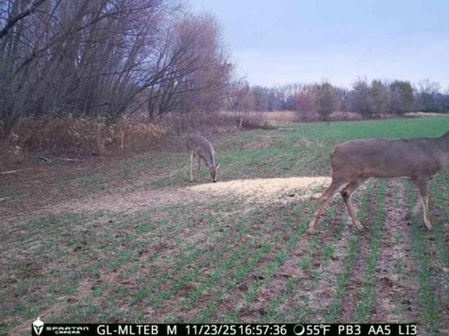 Land for sale in Kansas