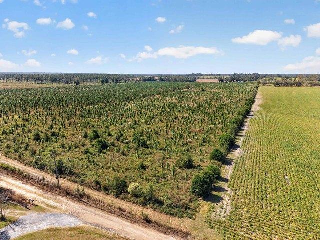 Land for sale in Lee, Madison County