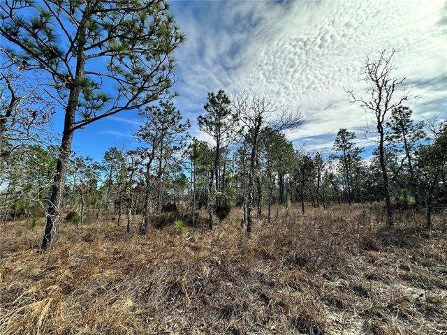 Land for sale in Williston, Levy County