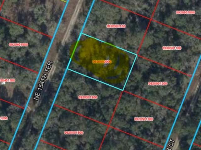 Land for sale in Morriston, Florida