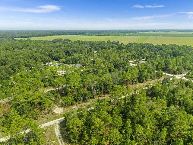 Land for sale in Morriston, Florida