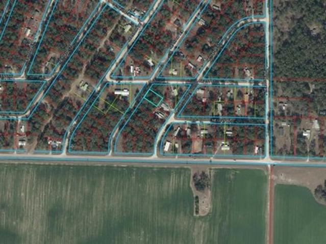 Land for sale in Morriston, Florida