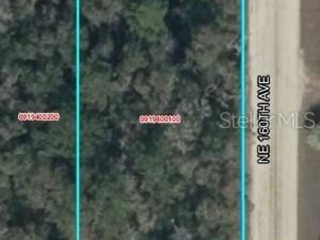 Land for sale in Williston, Levy County