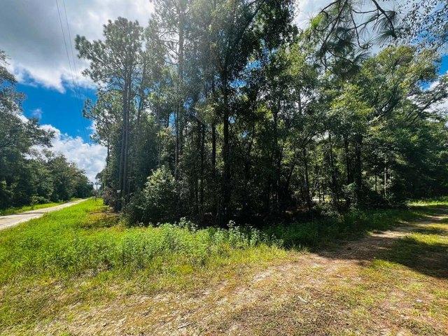 Land for sale in Williston, Levy County