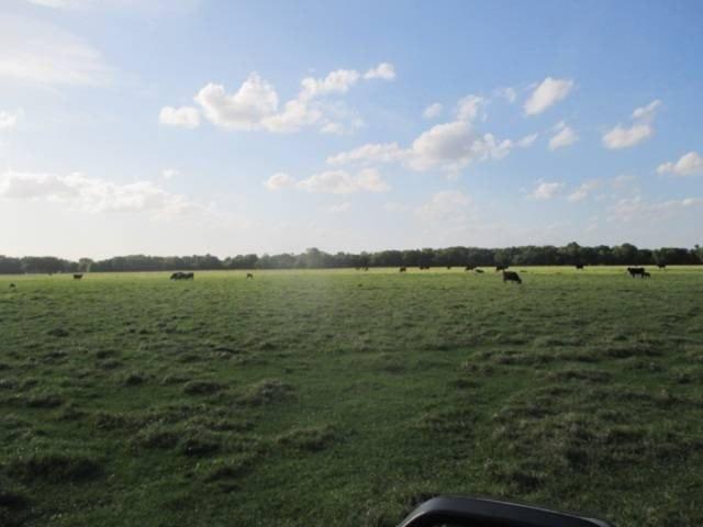 Land for sale in Okeechobee, Florida