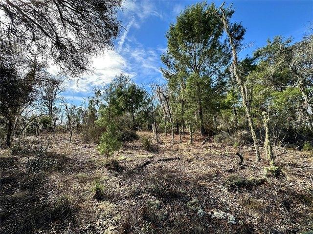 Land for sale in Williston, Levy County
