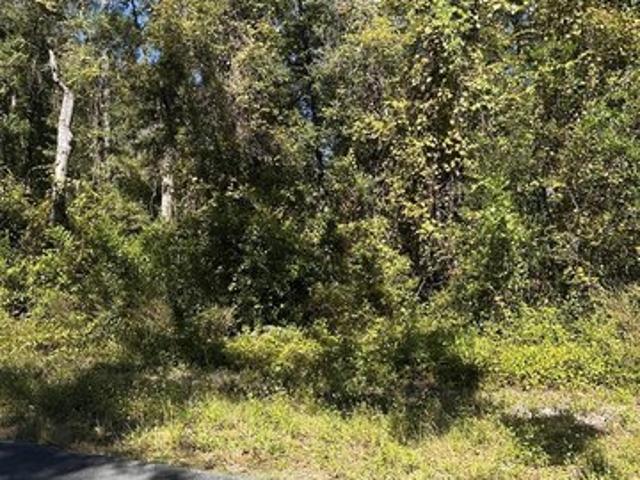 Land for sale in Dixie, Florida