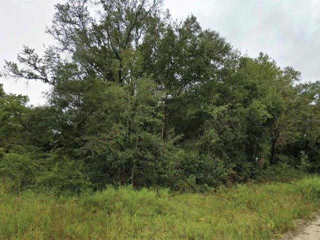 Land for sale in Williston, Levy County