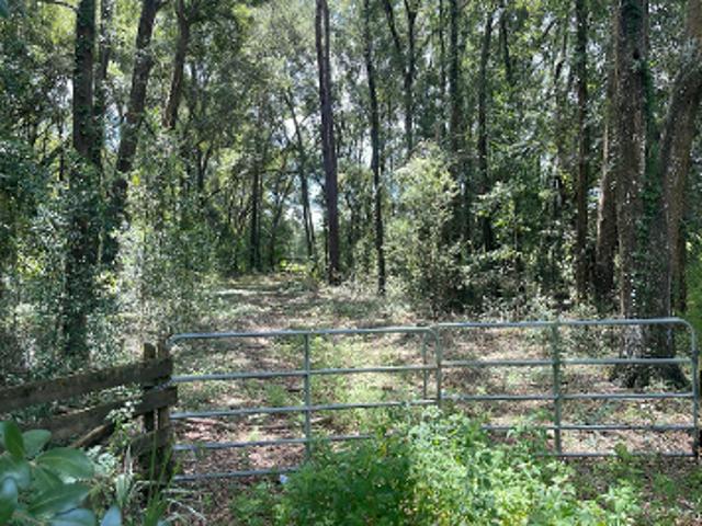 Farm for sale in Morriston, Florida