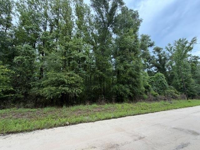 Land for sale in Dixie, Florida