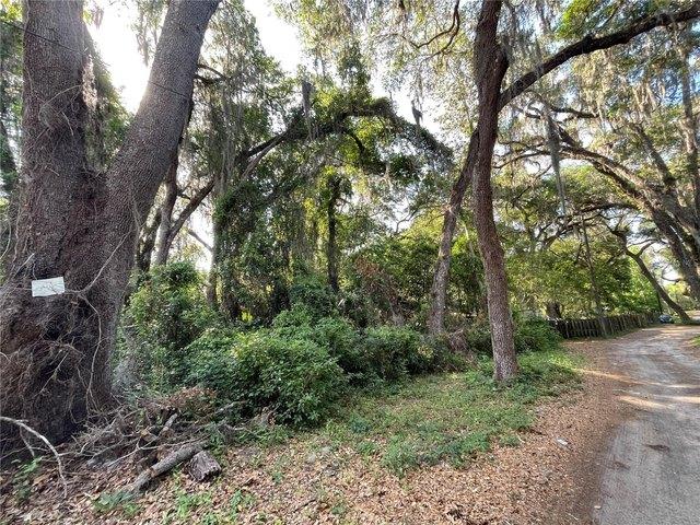 Land for sale in Anthony, Florida